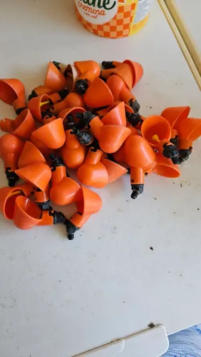 Bebedouros tipo copinhos para aves