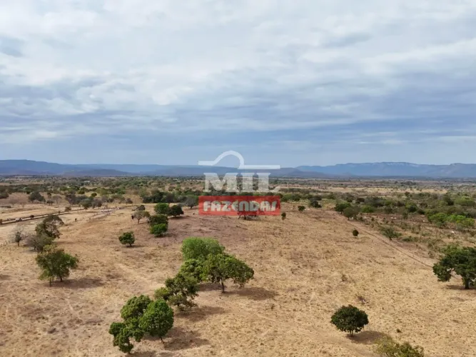 Fazenda 2.004 Alqueires (9.700 hectares) Arraias - TO