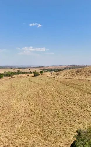 Fazenda a venda, em Pontalina - Goiás!