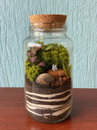 Terrarios Artesanais personalizados