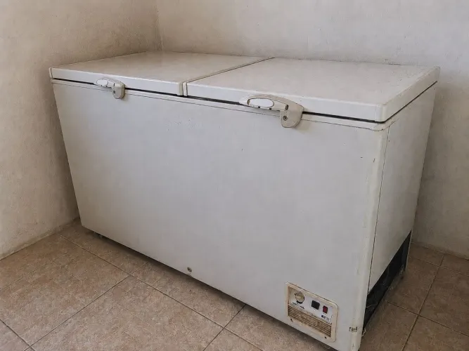 Freezer horizontal 2 portas