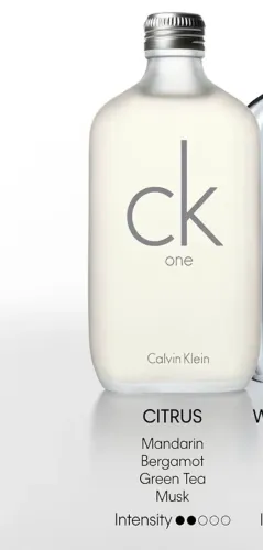 Perfume masculino Calvin Klein One eau de toilette 100ml
