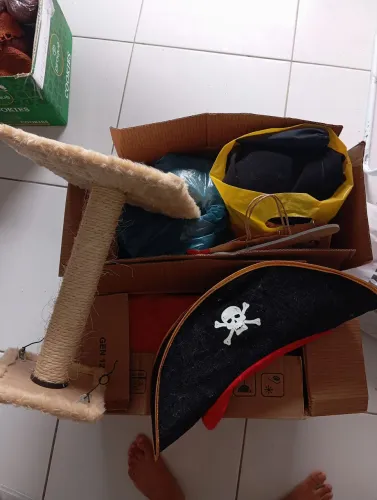 Caixa de roupas e itens domésticos para brechó