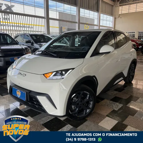 BYD Dolphin 2027