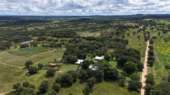 Fazenda em Zona Rural - Nossa Senhora do Livramento