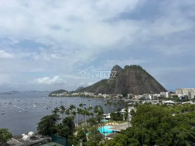 Cobertura : Linear / Residencial / Botafogo