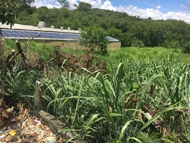 Imóvel para venda no São Francisco - Belo Horizonte | MG