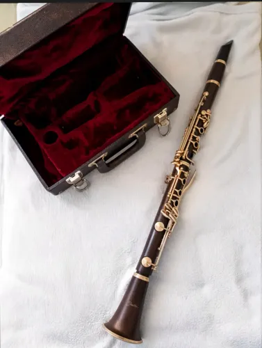 VENDE-SE CLARINETA | MARCA SHELTER 