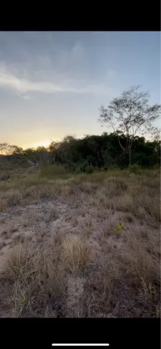 VENDO PRÓXIMO A NOVA MOAÇARA