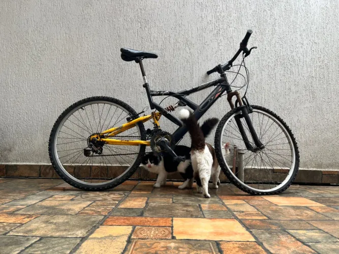 Bicicleta 