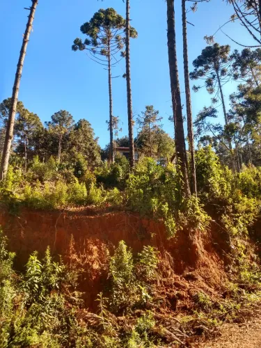 Terreno C. do Jordão em bosque sossego