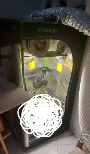 Tenda grow VIVOSUN + 2 leds samsung 150w+85w + temporizadores + camera e umidificador