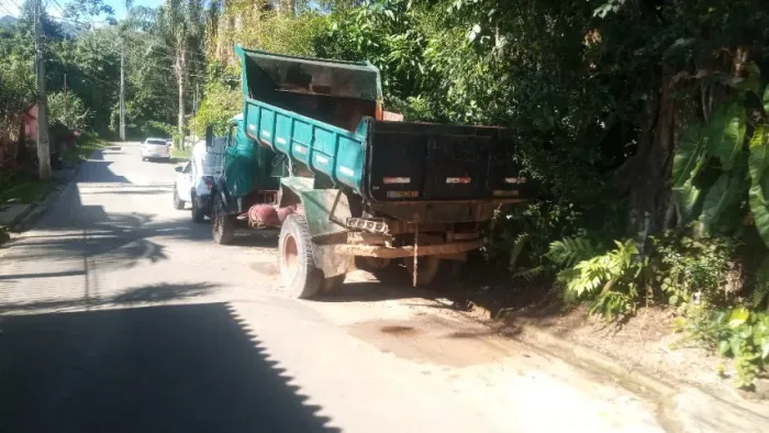 Caminhão 1113 raridade