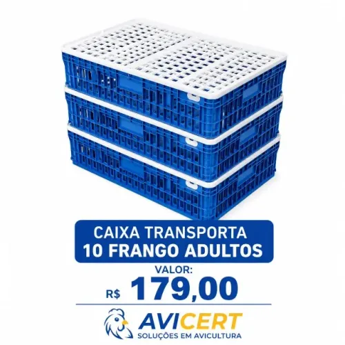 Caixas para Transporte de aves vivas a venda
