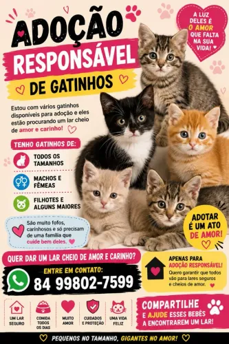 Adoção de gatinhos
