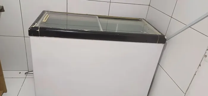 Freezer horizontal