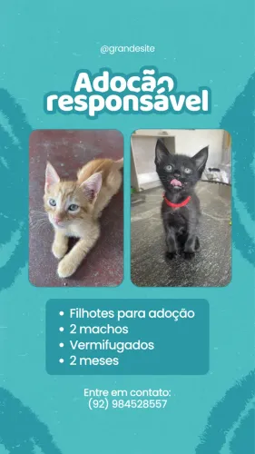 Adoção responsável
