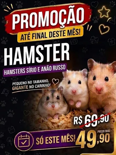 Hamster