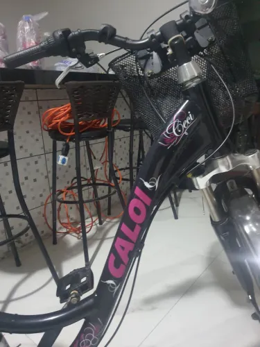 Vendo bicicleta feminina Ceci clássica aro 26 ou troco por bicicleta feminina aro 29