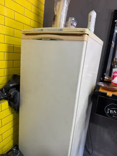 Freezer vertical 