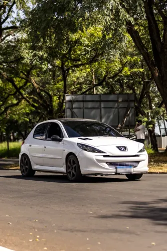 Peugeot 207 XR 1.4 Flex 8V 5P 2012