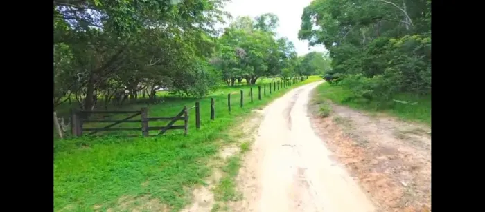 Fazenda em Ponte Alta do Tocantins -TO 