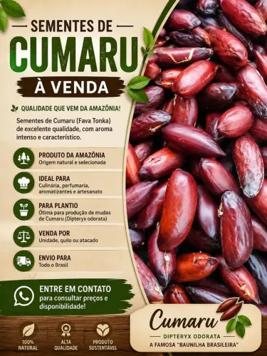 Mudas de Café e Sementes de Cumarú 