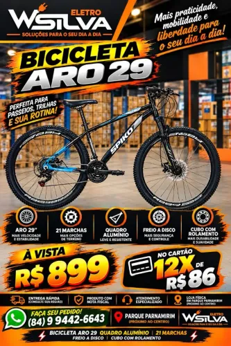 Bicicleta aro 29