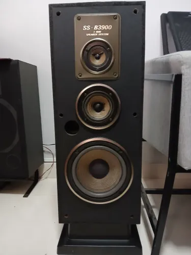 Caixas Acústicas Sony SS B3900