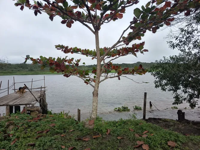 Chácara frente Rio Iguape SP