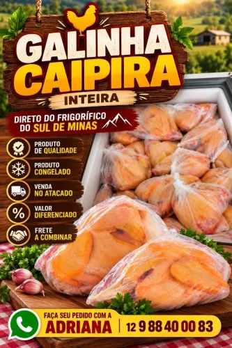 Galinhas caipira para revender!