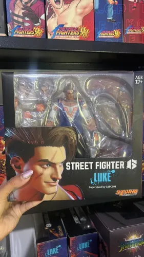 Luke street Fighter Storm Collectibles