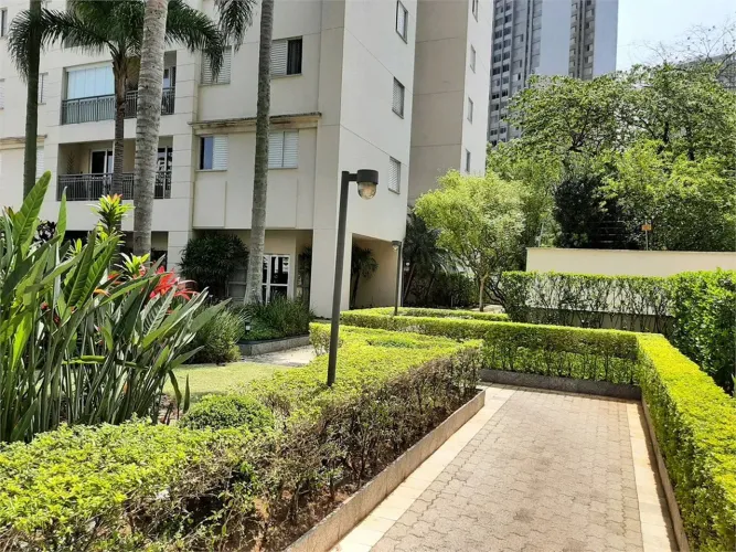Apartamento à venda ou para alugar com 3 quartos, sendo 1 suíte, em Vila Suzana, São Paulo