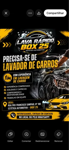 Precisa de lavador de carros