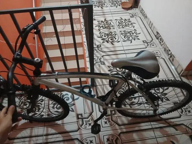 Bicicleta Seminova