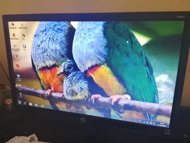 Monitor HP Tela led horizontal VGA DVI digital 19/polegadas