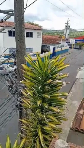 RESIDÊNCIA VARANDA PAISAGEM