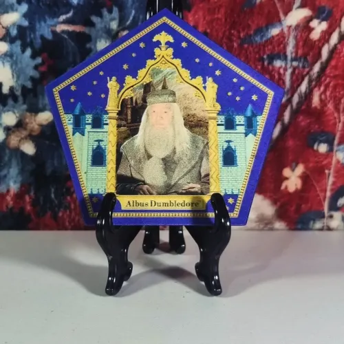 Card dumbledore harry potter direto do parque