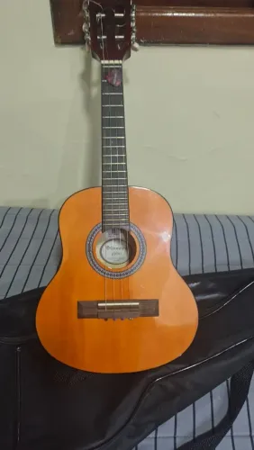 Cavaquinho Gianinj Cs 14 (capa + paleta)