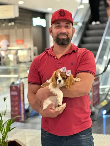Cavalier king