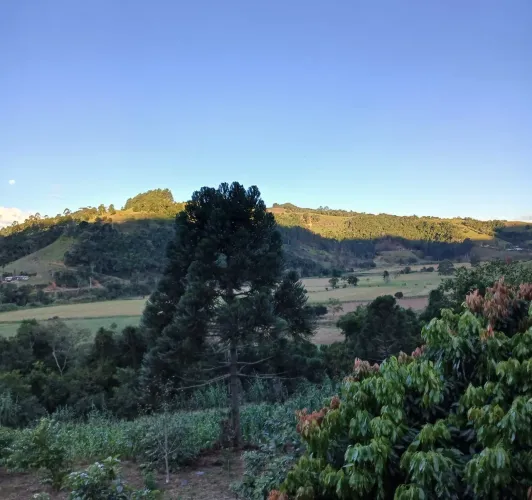 ? Sítio completo com rio, lagoa e frutas - 7 hectares em Alfredo Wagner/SC