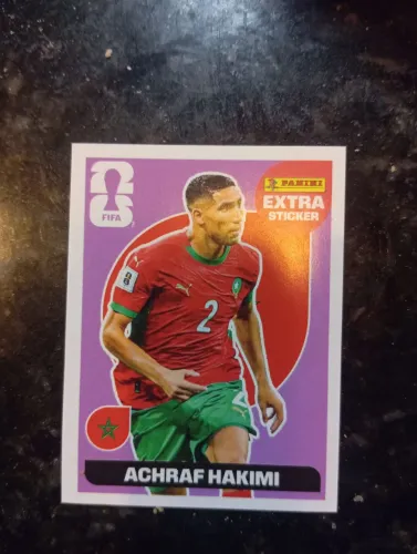 Hakimi bordô