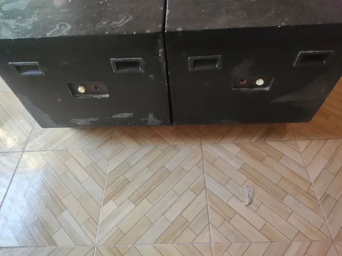 Gabinete para alto falante de 18 polegada.