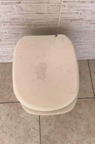 Vaso Sanitário Louça Branca (Com Assento)