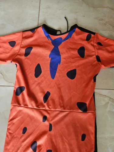 Fantasia dos Fred Fliston 