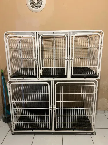 CANIL PARA BANHO E TOSA