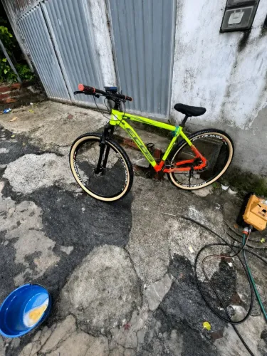 Bicicleta Ecos 29