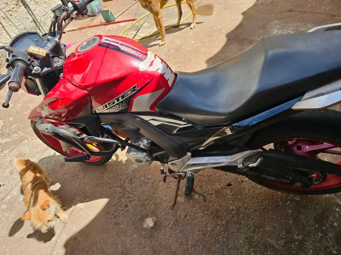 Twister 250