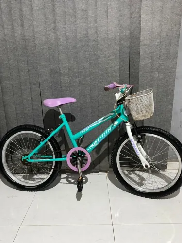 Bicicleta aro 20