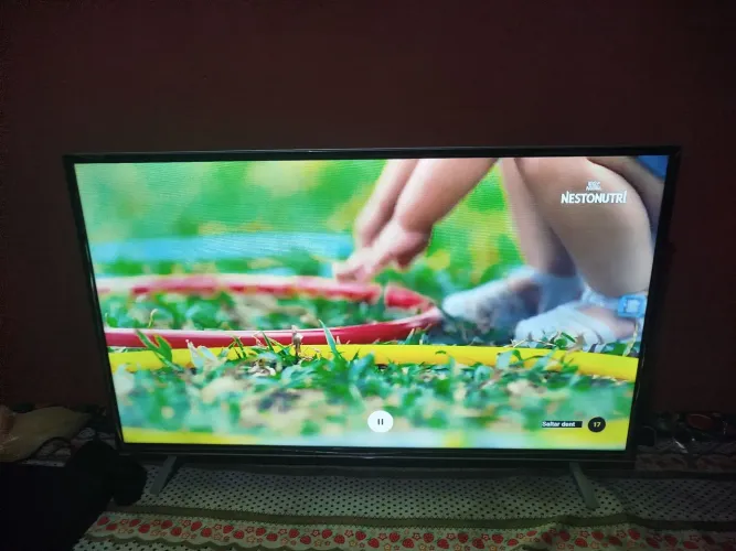 Televisor
